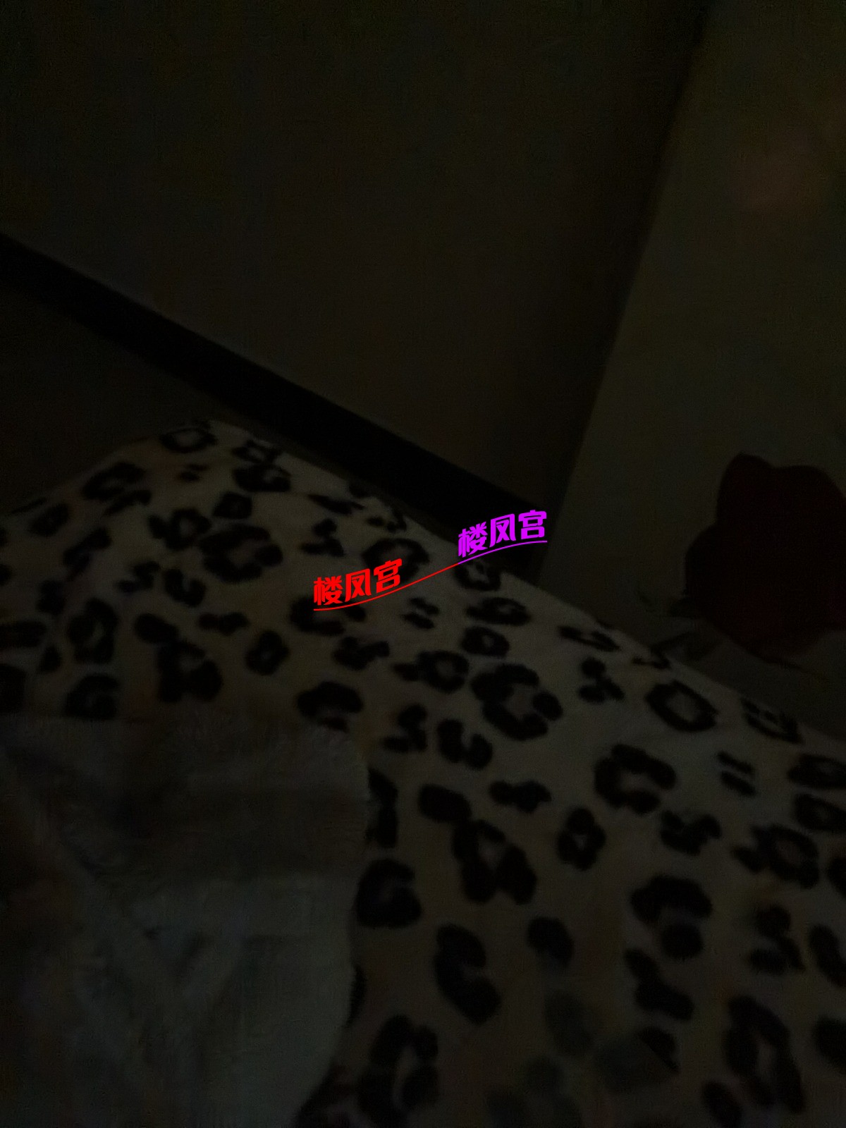 1733814104155604667202999923584.jpg