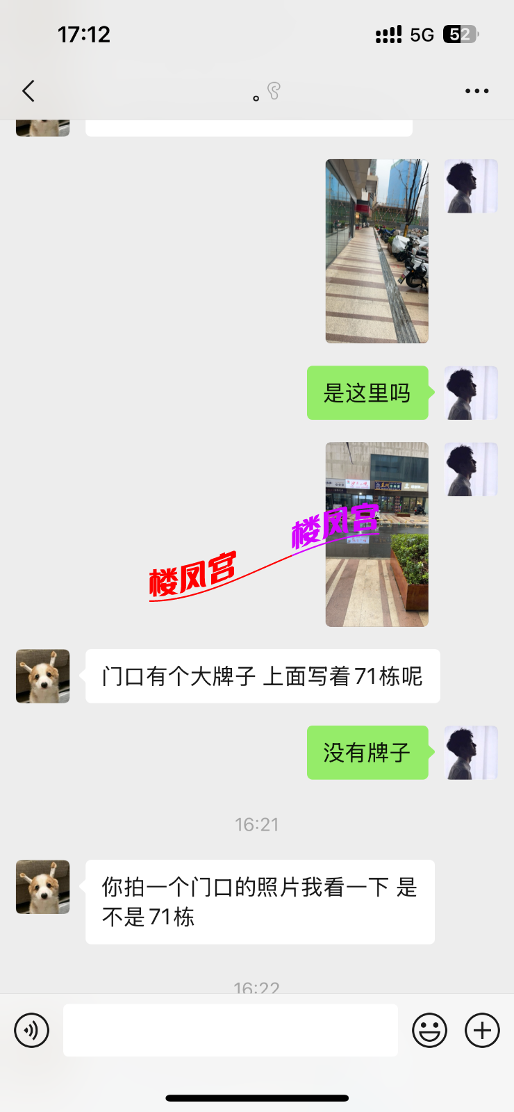 IMG_5585.png
