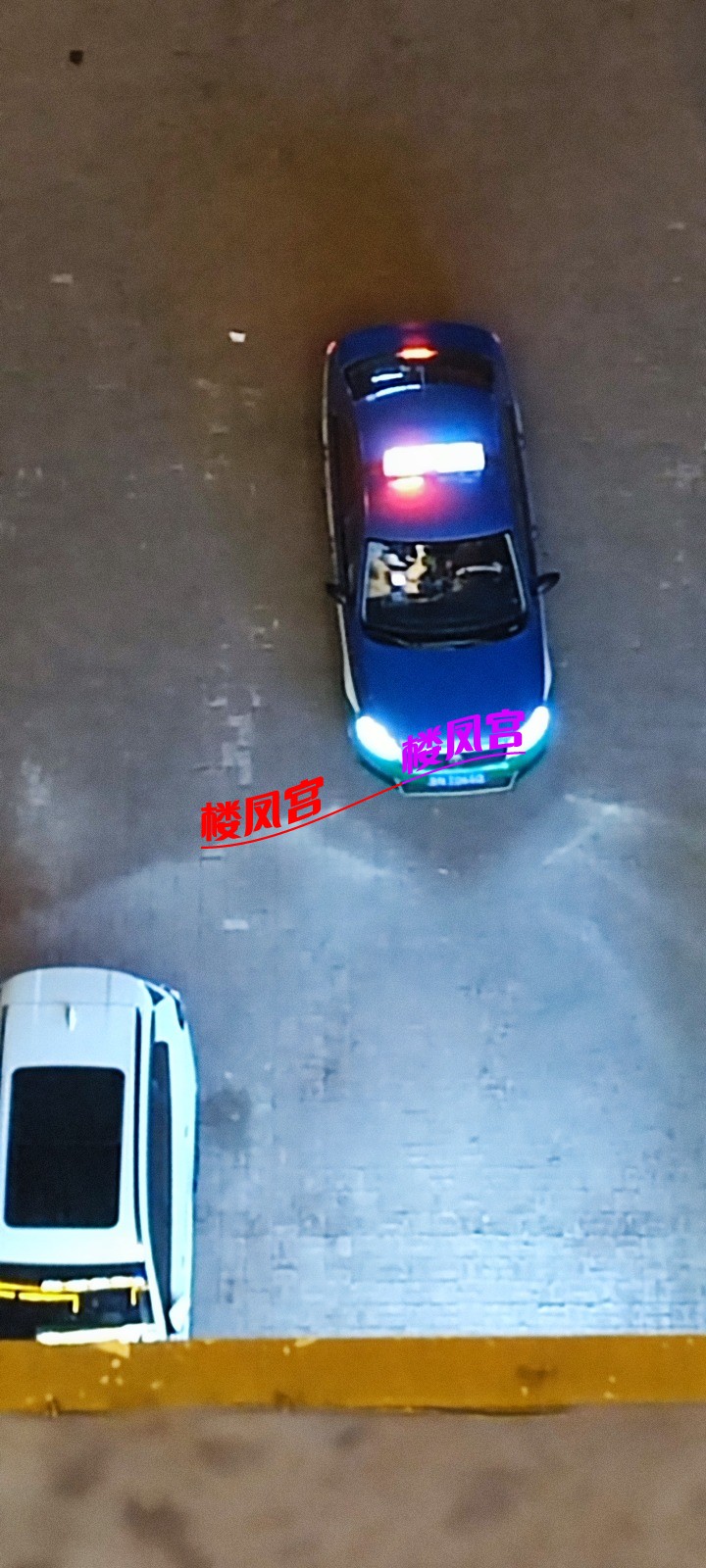 1000044968.jpg