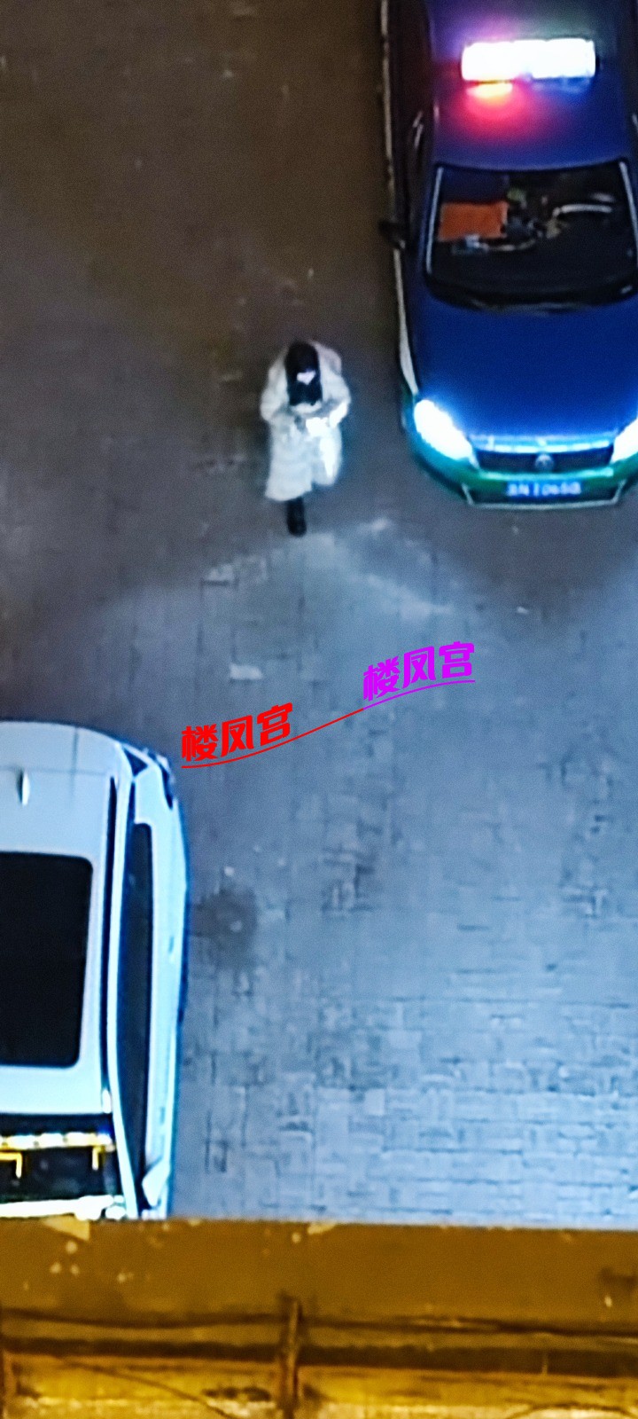 1000044969.jpg
